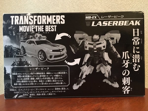 Movie The Best MB EX Laserbeak   In Hand Images Of Wonderfest Exclusive Pink Bumblebee Recolor  (12 of 18)